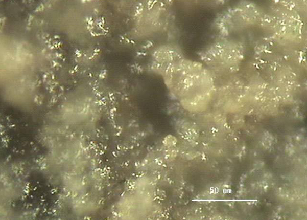 填料掛膜后的狀態(tài)